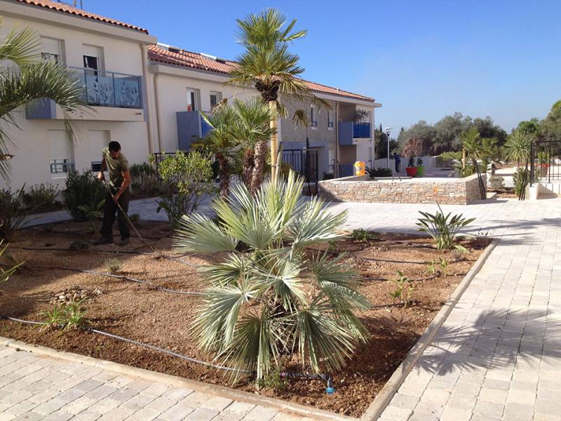 Après avoir respecté le cahier des charges établi par le constructeur nos équipes ont livré un jardin luxuriant pour habiller cet immeuble.