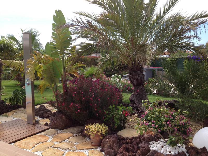 Création de jardin particulier à hyères les palmiers