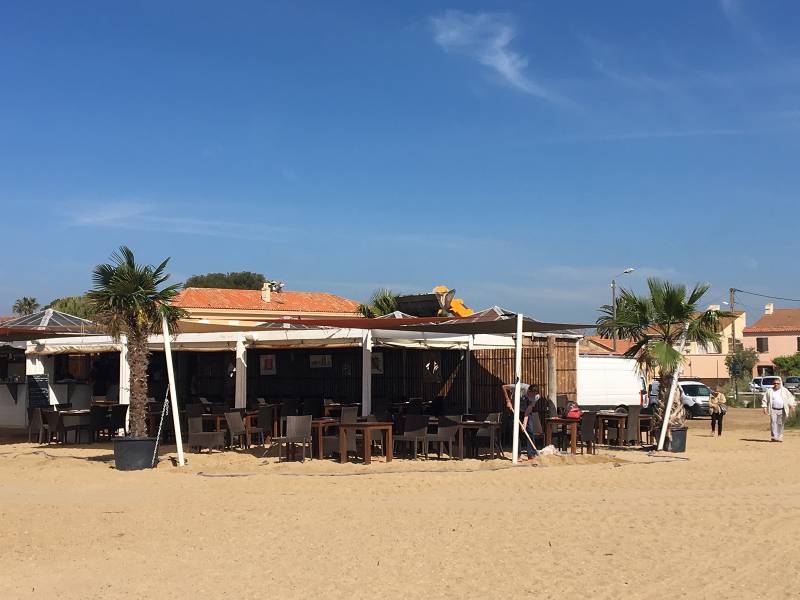 Livraison et installation des palmiers à la Plage des Vahinés au salin de Hyères