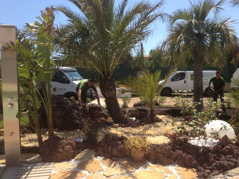 Après avoir travaillé votre sol, afin de le rendre apte à recevoir ce type de gazon, nous pouvons travailler vos espaces au sein de votre futur jardin. 