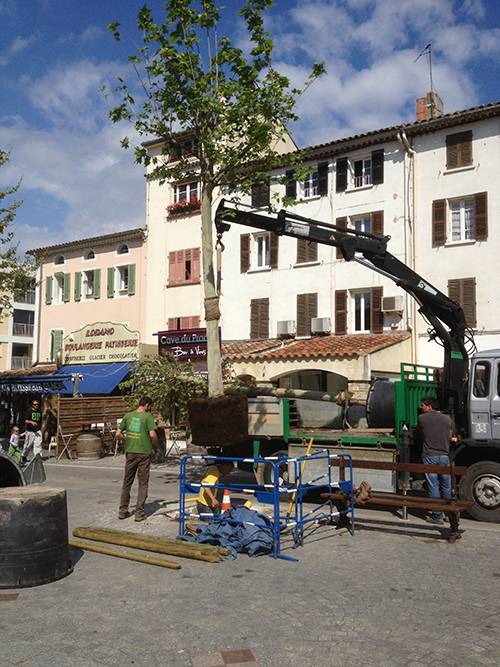 Carré Vert Service spécialiste de l’entretien de jardin depuis plus de 20 ans dans la région du Var.