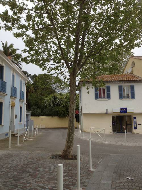  Nous proposons aux particuliers comme aux professionnels nos services pour la création et l’entretien de jardins, parcs et espaces verts.