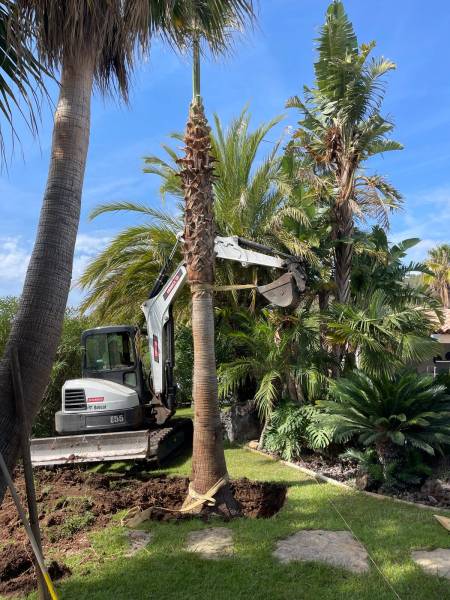 Paysagiste pour entretenir jardin à Toulon