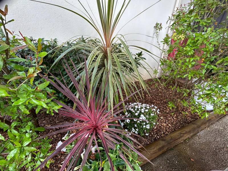 Comment adapter son jardin pour un climat sec dans le Var