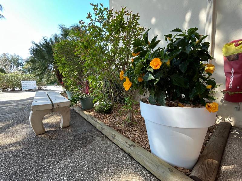 Conserver l'humidité du sol à Toulon dans le Var