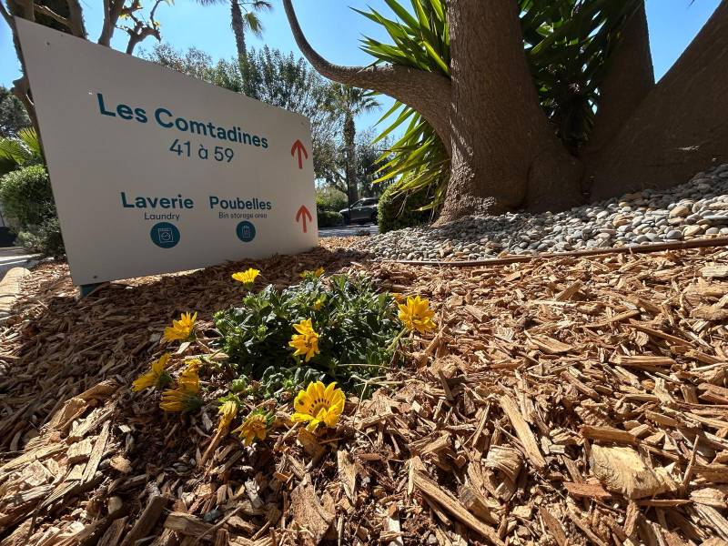 Comment protéger ses plantes de l'hiver dans le Var