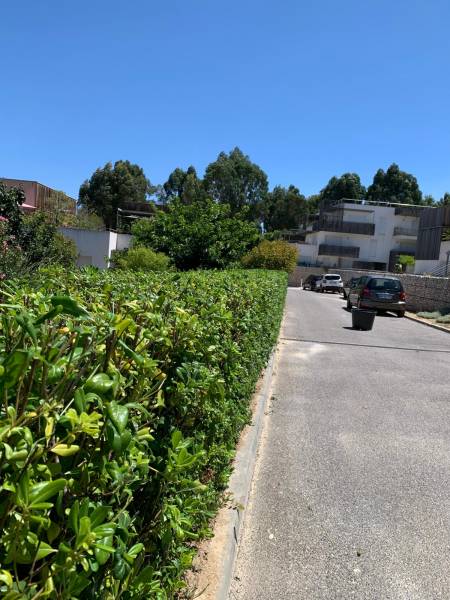 Taille de haie à Hyères dans le Var