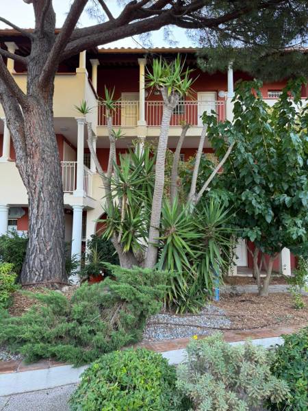 Comment tailler ses plantes en Automne dans le Sud de la france
