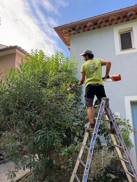 Recycler les déchets verts : une ressource précieuse pour vos jardins méditerranéens