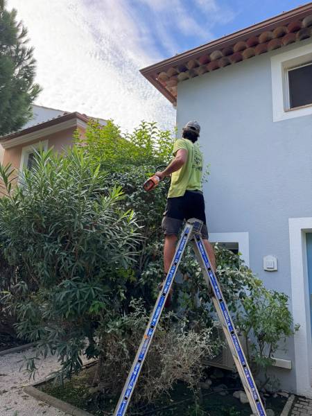 Recycler les déchets verts : une ressource précieuse pour vos jardins méditerranéens