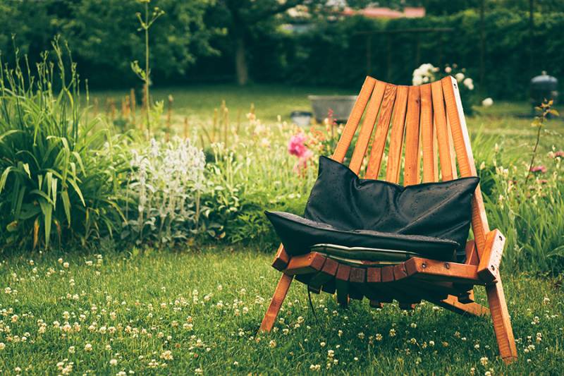 Découvrez nos astuces pour avoir un beau jardin en Automne