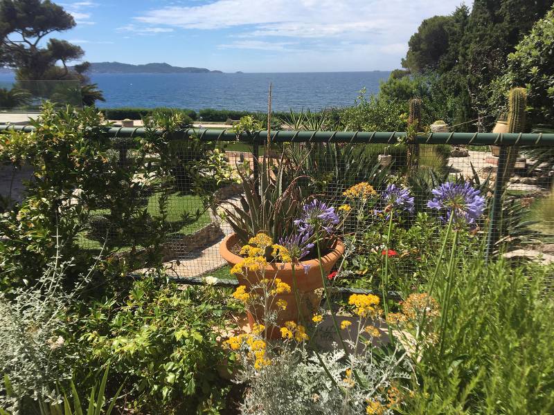 L'astuce de la semaine : Comment créer un jardin méditerranéen ?