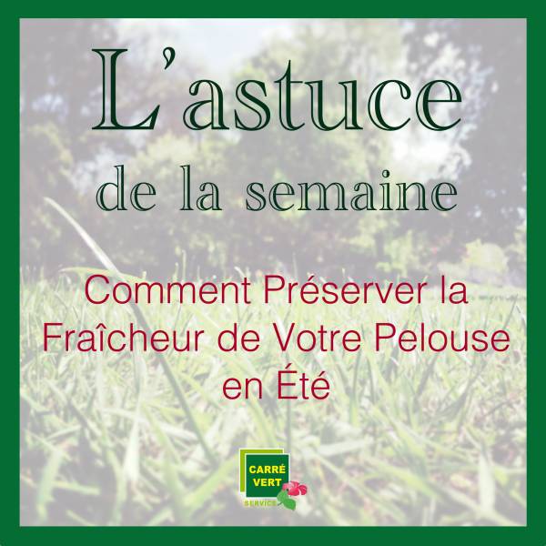 préserver la fraîcheur et la beauté de votre pelouse même pendant les jours les plus chauds de l'été
