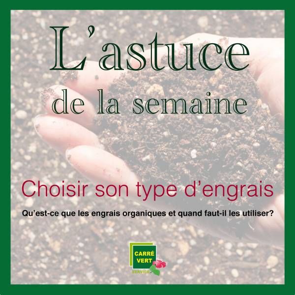 Notre astuce de la semaine : Comment bien choisir son engrais organique, quel type d’application est possible et surtout à quel moment ? 